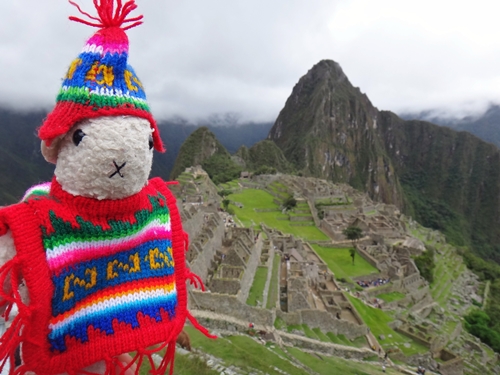 O famoso Kiki no Machu Picchu