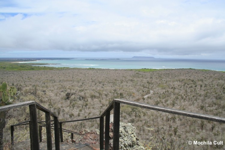isabela galápagos